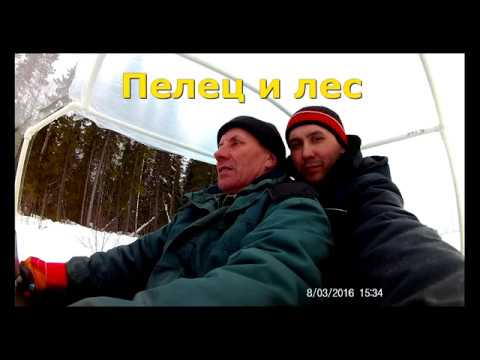 Видео: Пелец мини