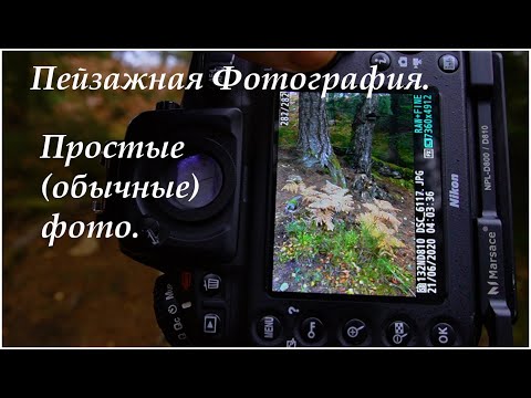 Видео: Пейзажная Фотография. Простые Фото.