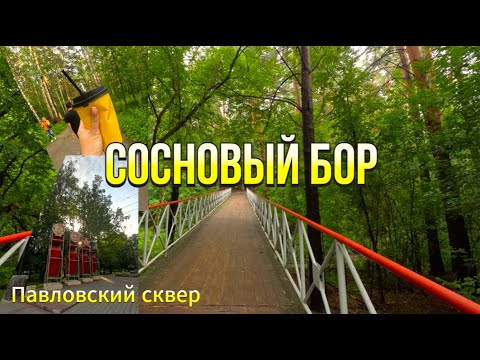 Видео: Новосибирск2024. Сосновый бор. Павловский сквер #новосибирск #сосновыйбор#кудасходитьвновосибирске