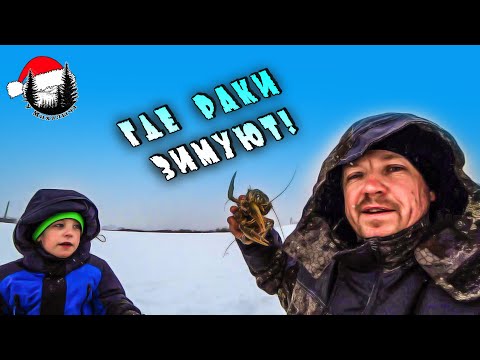 Видео: ЛОВИМ РАКОВ ЗИМОЙ! РАКОЛОВКА ПРОСТОЯЛА ДВЕ НЕДЕЛИ! МНОГО РАКОВ!!!