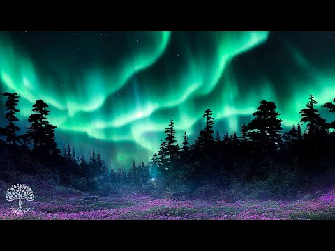 Видео: Стресс и тревога - детокс негативные эмоции, заживление сна