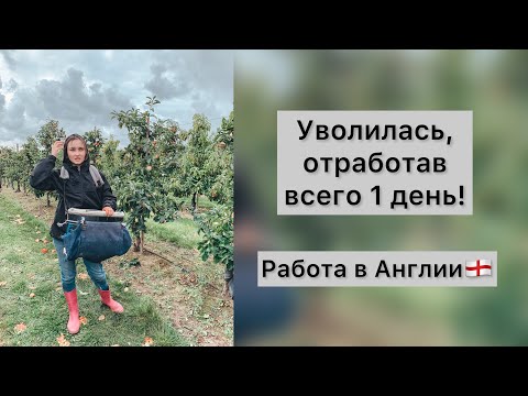 Видео: Уволилась, отработав всего 1 день! | Mansfield farm | РАБОТА В АНГЛИИ