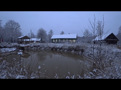 Видео: КУПИЛ ХУТОР в ЛЕСУ на КРАЮ БОЛОТА. УЕХАЛ в ЛЕС, ЖИВУ ОДИН. №224