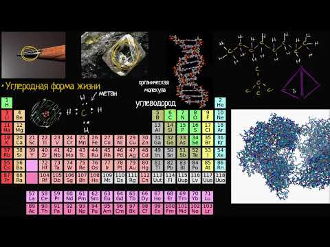 Видео: Почему наша жизнь тесно связана с углеродом? (видео 8)  | Химия. Введение