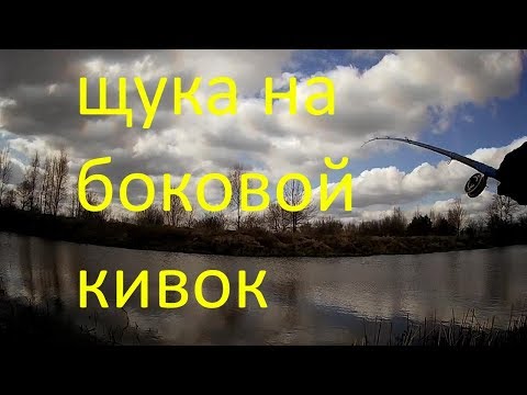 Видео: Рыбалка на боковой кивок.Ловля щуки.