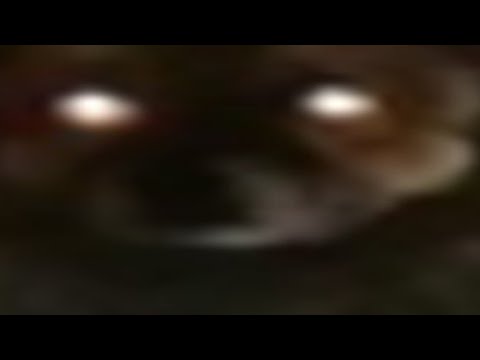 Видео: stanyyy как смысл жизни 3