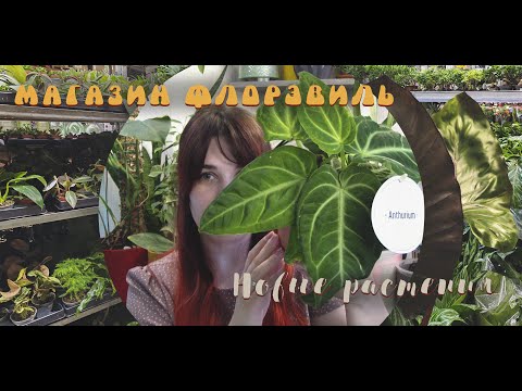 Видео: Магазин ФЛОРЭВИЛЬ I Новые растения🌿