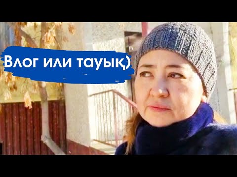 Видео: Vlog. Каналым влог канал еді.Тауық каналға ауысып бара жатыр