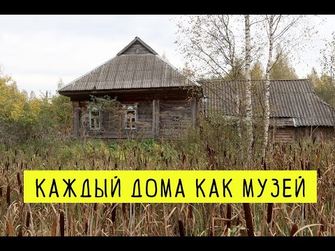 Видео: Заброшенная деревня в Ярославской области. Старинные дома и артефакты. Медвежьи следы в лесу