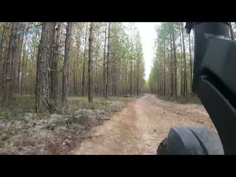 Видео: KUGOO G1 Pro Покатушки по лесу