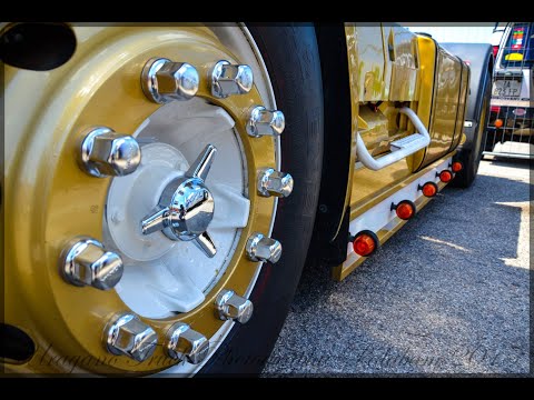 Видео: ETS2 / Moza R5 / В мультике (Тест плагина)