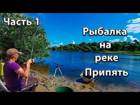 Видео: Рыбалка в Беларуси. Рыбалка на реке Припять. Река Припять в районе Микашевич!!!