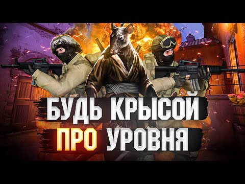 Видео: ЛЮРКЕРЫ в КС ГО - Как правильно должен играть люркер? Игра люркера, главные ошибки и правила - ГАЙД