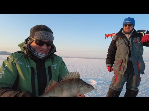 Видео: Мороз. Солнце. Окунь.