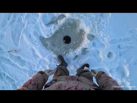 Видео: Хапуги трещат. Вот это караси. Рыбалка в канун Нового года.