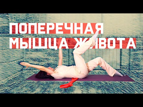 Видео: Поперечная мышца живота. Как укрепить дряблую брюшную стенку?