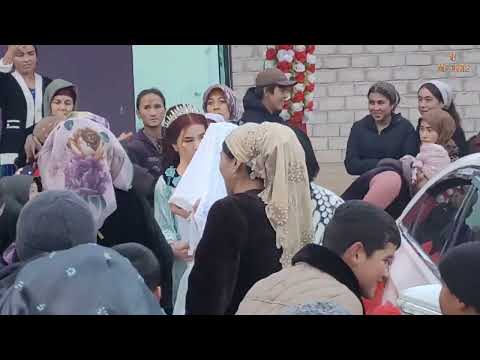 Видео: ТУЙ ҚИЗИЛОБОД 17:12:2024