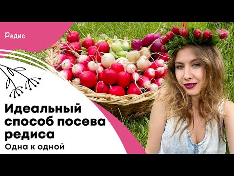 Видео: Разметка на участке | Идеальный способ посева редиса