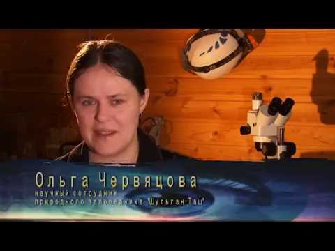 Видео: "Мистический Башкортостан" . Пещера Шульган-Таш