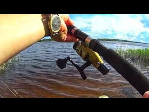Видео: Разнорыбица на реке. Клевали все. Я ждала его. А он так и не пришёл.