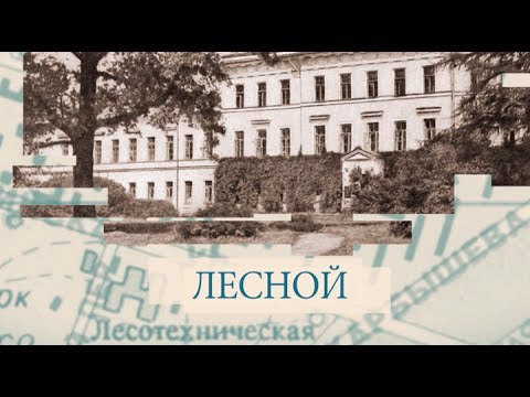 Видео: Лесной / «Малые родины большого Петербурга»