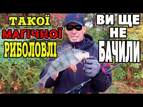 Видео: 💥 ОКУНЬ БУВ У ЗАХВАТІ 💥