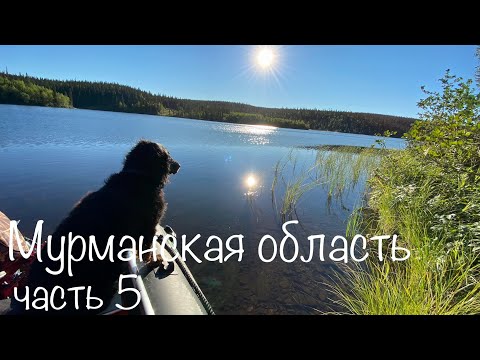 Видео: Ловля КУМЖИ в Мурманской области. РЫБАЛКА на спиннинг ч. 5