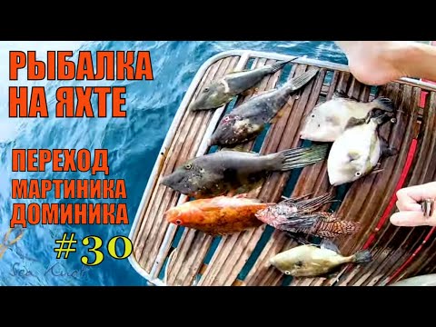 Видео: Рыбалка в карибском море. Переход Мартиника Доминика