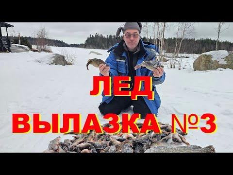 Видео: ЛЕД. ВЫЛАЗКА №3
