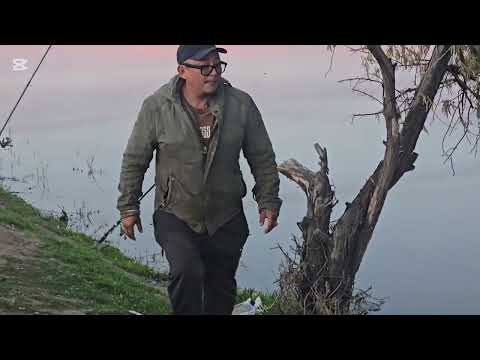 Видео: Результат моих подписчиков