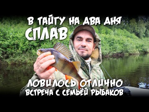 Видео: В тайгу на два дня / Сплав / Встреча с семьёй рыбаков / Ловилось отлично