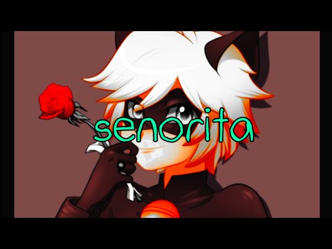 Видео: Клип леди баг и кот нуар (супер кот) - senorita