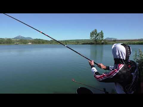 Видео: Нижнеподкумский третий...08.06.2020. Удилище BLACK WIND Heavy 4,5м.