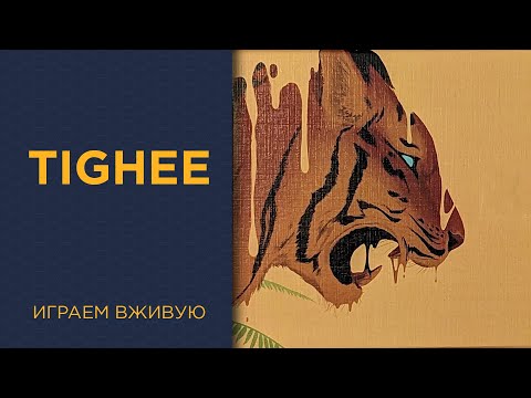 Видео: Tighee — Играем вживую