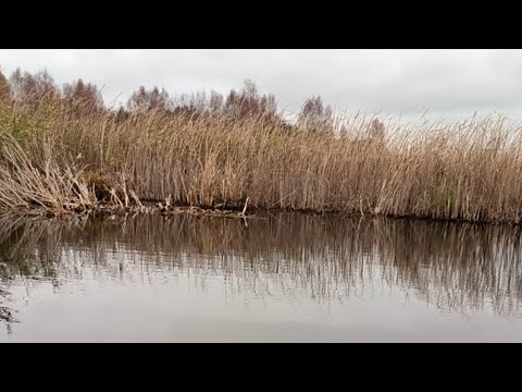 Видео: РЫБАЛКА НА СПИНИННГ И КРУЖКИ.