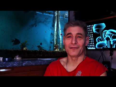 Видео: Моё мнение о пневмовакууме