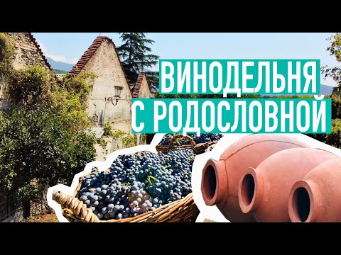 Видео: Клад с чеком на предъявителя и бои местного значения в семейной винодельне  #виноделие #кахетия