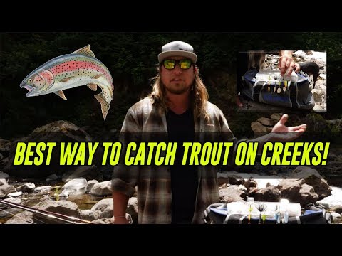 Видео: Лучший способ поймать ФОРЕЛЬ в ручьях, реках и ручьях за все времена! | Подробное руководство.