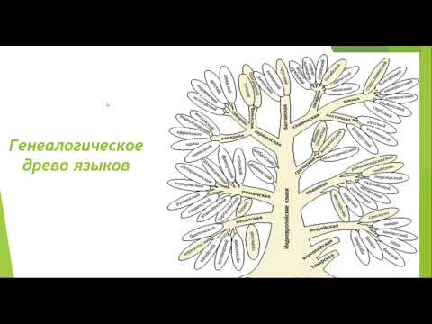 Видео: Семинар "Методы лингвистических исследований", часть 1. Магистратура, РЯЛ, 1 курс