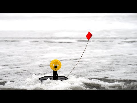 Видео: ПОСТАВИЛ ЖЕРЛИЦЫ на ЩУЧЬЕЙ ТРОПЕ и НАЧАЛОСЬ... ЭТО ПЕРВЫЙ ЛЕД!