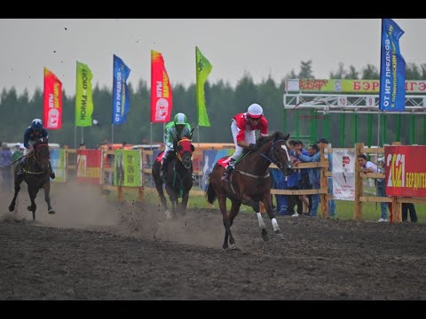 Видео: Софрон Данилов 100 сааһыгар анаммыт республика таһымнаах сыл бастыҥ Ат сүүрдүүтэ