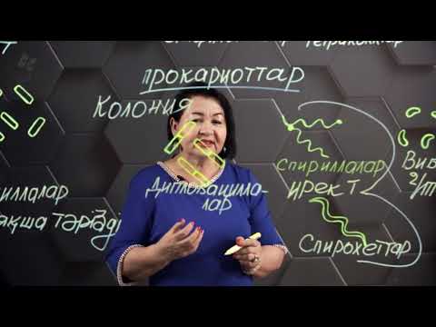 Видео: Бактериялардың пішіндері. 7 сынып.