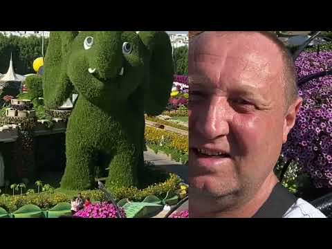 Видео: Изумительный парк цветов в пустыне. ОАЭ ноябрь 2022 года. # отдых#красота#чудосвета