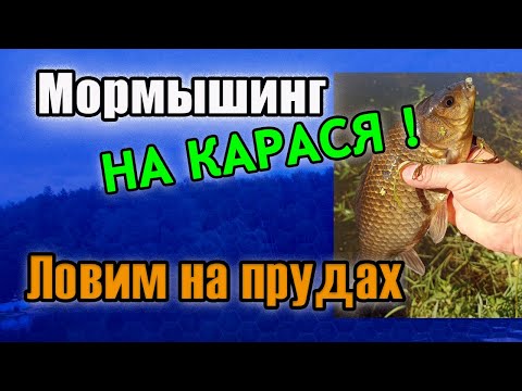 Видео: Мормышинг на Карася! Ловим на прудах.