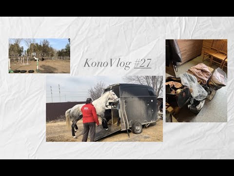 Видео: KonoVlog #27 / у меня новая лошадь / переезд в кони - парк.