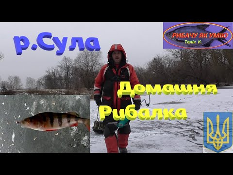 Видео: СУЛА # Домашня рибалка #РибачуЯкУмію