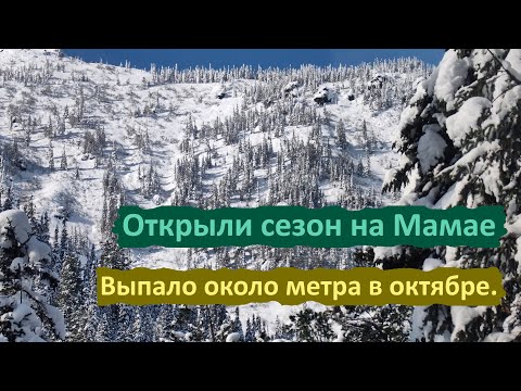Видео: Запнулся об сноуборд и открыл сезон. #мамай #фрирайд #powder
