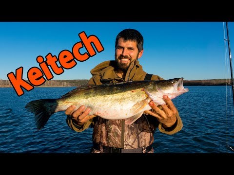 Видео: Не может же ТАК везти!  Ловля судака осенью на джиг с лодки.