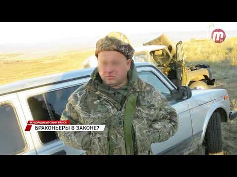Видео: Инспектор поймавший браконьеров стал фигурантом уголовного дела