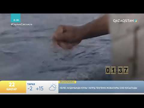 Видео: «3 МИНУТТА 1 КІТАП». ЭРНЕСТ ХЕМИНГУЭЙ «ТЕҢІЗ БЕН ШАЛ"